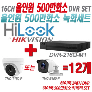 [올인원-5M] DVR216QM1 16CH + 하이룩 500만화소 카메라 12개 SET (실내형/실외형 3.6mm 출고)